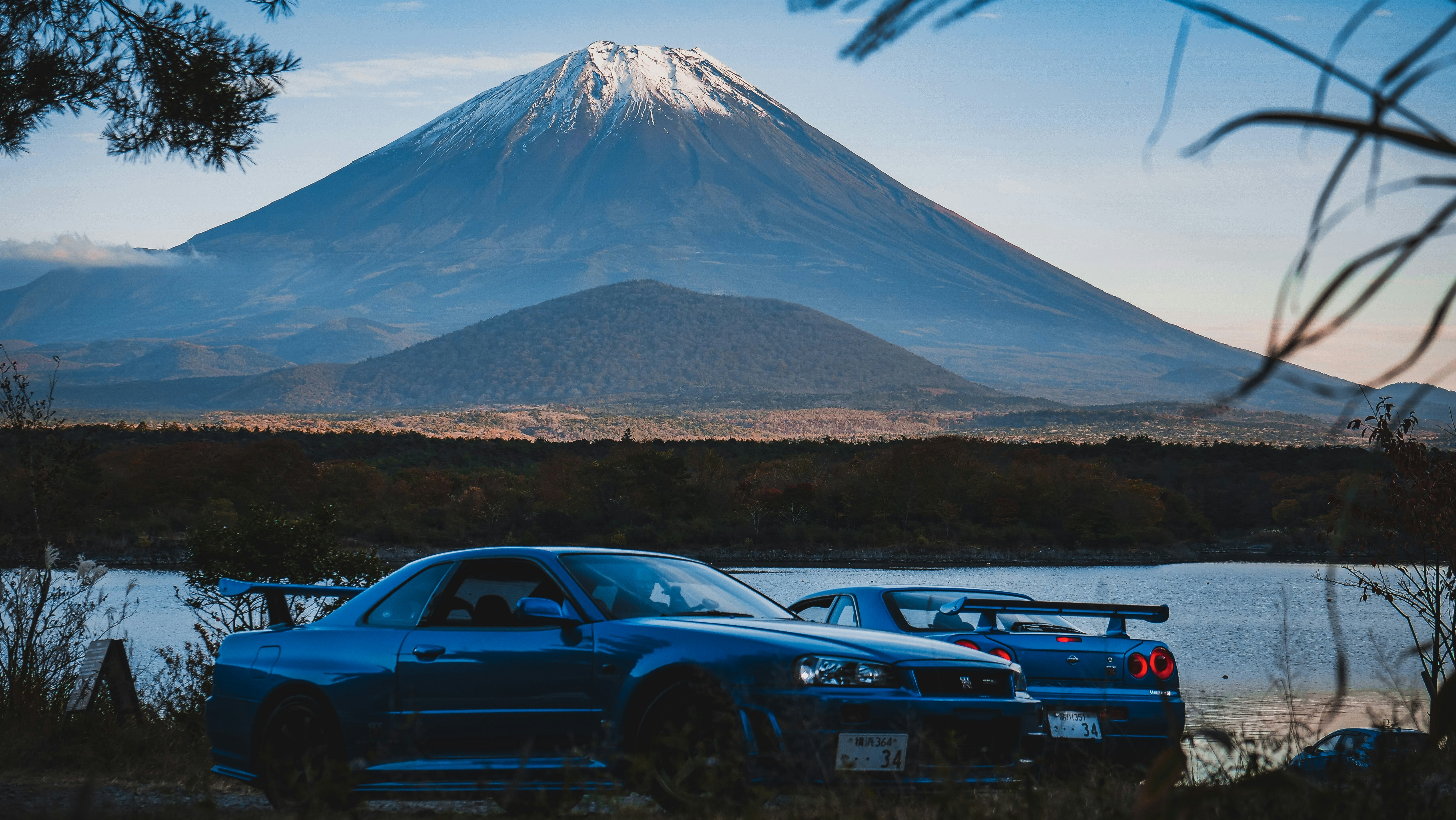 Professional vehicle inspection in Japan